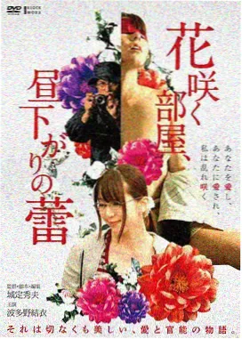 沈家老宅的四季年代生活小说封面